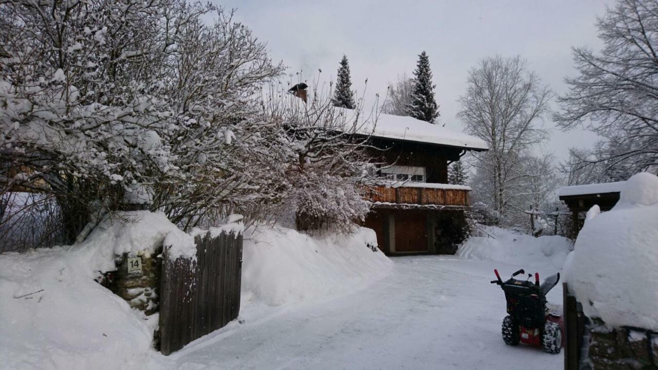 Landhaus Bernecker, Bay.W. Rinchnach Buitenkant foto
